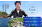 活〆おうごんとらふぐ プレミアムセット（4人前）平戸市 / 松永水産 