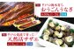 【全9回定期便】平戸を満喫！海のひらど旬鮮便  