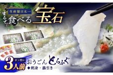 【着日指定 可能】活〆おうごんとらふぐ 刺身 セット（3人前） 平戸市 / 松永水産 [KAB123]おうごんとらふぐ 刺身 通販 お取り寄せ 長崎 高級魚 海鮮 グルメ ごちそう トラフグ ふぐ