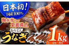 【着日指定 可能】【日本初！海水で養殖】長崎県産おうごん うなぎ 松セット 約1kg（4尾〜8尾） 平戸市 / 松永水産 うなぎ 鰻 ウナギ 土用丑の日 九州産 蒲焼 かばやき   [KAB128]