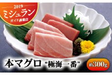【着日指定 可能】本マグロ 極海一番 約300g 　平戸市 / 囲炉裏料理 エビス亭 [KAC019]