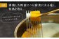 【平戸銘菓】平戸蔦屋カスドース 15個 平戸市 / つたや總本家 