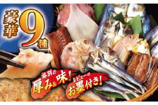 【着日指定 可能】【旨味を凝縮】旬鮮平戸干物詰合せ 平戸市 / 森崎水産  [KAD010]