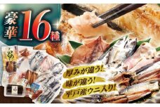 【着日指定 可能】【旨味を凝縮】旬鮮平戸干物 16種詰合せ 平戸市 / 森崎水産  [KAD011]