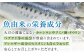 プレミアム10年熟成魚醤油 2種詰合せ 平戸市 / 長田食品  