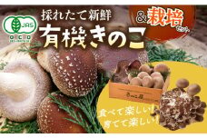 【時間指定 可能】平戸有機きのこ栽培セット詰合せ 平戸市 / きのこ屋 [KAD067]