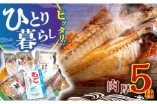 【着日指定 可能】【一人暮らしに便利】お試し 干物 5種セット 平戸市 / 篠崎海産物店 [KAD073]