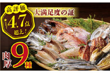 【着日指定 可能】【1枚1枚丁寧に】欲ばり平戸ひもの三昧【篠崎海産物店】 [KAD072] 干物 ひもの セット 人気 アジ サバ 国産 タイ 詰め合わせ 大容量 一夜干し