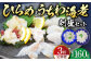 ひらめ&うちわ海老の刺盛セット 計480g(約160g×3回)【平戸さくら水産】 