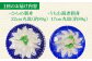 ひらめ&うちわ海老の刺盛セット 計960g(約160g×6回) 平戸市 / 平戸さくら水産 