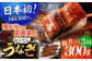 長崎県産おうごん うなぎ 計900g（約300g×3回）平戸市 / 松永水産 うなぎ 鰻 ウナギ 土用丑の日