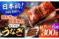 長崎県産おうごん うなぎ 計1.8kg（約300g×6回）平戸市 / 松永水産 うなぎ 鰻 ウナギ 土用丑の日 