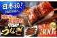 長崎県産おうごん うなぎ 計3.6kg（約300g×12回）平戸市 / 松永水産  