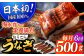 長崎県産おうごん うなぎ 計3.0kg（約500g×6回） 平戸市 / 松永水産 