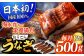 ＜全12回定期便＞長崎県産おうごん うなぎ 計6.0kg（約500g×12回） 平戸市 / 松永水産 
