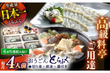 ＜全6回定期便＞【高級とらふぐをご家庭で】活〆 おうごん とらふぐ 贅沢セット（4人前） 平戸市 / 松永水産 [KAB148]おうごんとらふぐ トラフグ ふぐ フグ 海鮮 高級魚 刺身 鍋 長崎 通販 お取り寄せ