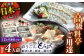 ＜全12回定期便＞【高級とらふぐをご家庭で】活〆 おうごん とらふぐ 贅沢セット（4人前） 平戸市 / 松永水産 