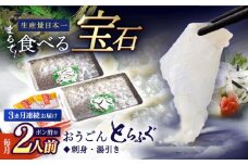 ＜全3回定期便＞【高級とらふぐをご家庭で】活〆 おうごん とらふぐ 刺身セット（2人前） 平戸市 / 松永水産 [KAB153]おうごんとらふぐ トラフグ ふぐ フグ 海鮮 高級魚 刺身 鍋 長崎 通販 お取り寄せ