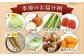 【ソムリエ厳選】安心の地元野菜と果物のお任せセット  