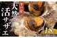 【平戸産を活きたまま】天然活サザエ 約1.8kg