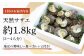 【平戸産を活きたまま】天然活サザエ 約1.8kg