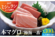 【全6回定期便】本マグロ 極海一番 計1.8kg （約300g×6回） 平戸市 / 囲炉裏料理 エビス亭 [KAC136]