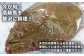 【季節限定】【高級魚を贅沢に】平戸天然寒ひらめのサクサクフライ 計600g(約200g×3P)【めぐみ屋】 