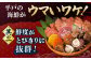【平戸フィーバーの火付け役】平戸瀬戸物語 【平戸市 / 平戸さくら水産】 