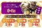 【平戸フィーバーの火付け役】平戸瀬戸物語【平戸市 / 平戸瀬戸市場協同組合】 