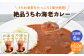 【ウチワエビ1尾分！！】絶品  ウチワエビカレー 計12個（2個セット/回） 