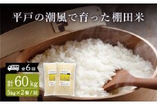 【全6回定期便】平戸の潮風で育った 棚田米 計60kg （5kg×2個/回） 平戸市 / ひらど新鮮市場 [KAB173]