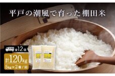 【全12回定期便】平戸の潮風で育った 棚田米 計120kg （5kg×2個/回） 平戸市 / ひらど新鮮市場 [KAB174] 棚田米 米 お米 白米 米 精米 コシヒカリ おこめ はくまい