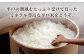 平戸の潮風で育った 棚田米 計120kg （5kg×2個/回）  