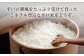 平戸の潮風で育った 棚田米 計30kg （5kg×2個/回）  