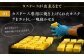 【平戸銘菓】平戸蔦屋 カスドース 15個/回 平戸市 / つたや總本家 
