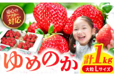 【旬真っ盛り！】平戸産 いちご「ゆめのか」250g×4P（Lサイズ〜） 平戸市 / ひらど新鮮市場  苺 ストロベリー イチゴ【ひらど新鮮市場】[KAB196] 