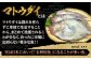 【創業90年の匠の味】平戸 干物 5種セット 計16枚/回【井吉水産】 