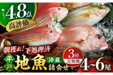 【全3回定期便】朝獲れ！平戸地魚詰合せ定期便 平戸市 / 平戸瀬戸市場協同組合 [KAA303]