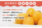 【先行予約】【季節限定】【栽培期間中農薬不使用】根獅子 びわ 250g（5〜6個）×4P 平戸市 / しげさん農園 