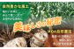 【先行予約】【季節限定】【安心安全！ホクホク食感】ジャンボにんにく 【約2.0kg】平戸市/しげさん農園 