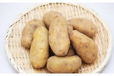 【季節限定】【春の新物】新じゃがいも （メークイン） 約6kg【しげさん農園】 [KAA317]