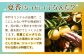 【先行予約】【とろける果汁と爽快な風味】平戸夏香・ジュースセット 【平戸市/善果園】 