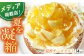 【季節限定】【先行予約】【夏限定の贅沢スイーツ】平戸特産夏香チーズタルト 1ホール(14cm)