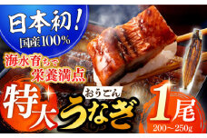 【季節限定】【着日指定　可能】長崎県産超特大おうごんうなぎ蒲焼き【200～250g×1尾、タレ付き】平戸市/（有）松永水産 うなぎ 鰻 ウナギ 土用丑の日 九州産 蒲焼 かばやき  [KAB202] 