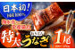 超特大おうごんうなぎ蒲焼き【200～250g×1尾、タレ付き】 うなぎ 鰻 ウナギ 土用丑の日 九州産 蒲焼 かばやき  