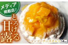 【とろっと甘いマンゴーがどっさり】完熟マンゴーチーズタルト 1ホール(14cm)【心優-CotoyuSweets-】[KAA326] チーズタルト マンゴー タルト チーズケーキ 