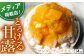 【とろっと甘いマンゴーがどっさり】完熟マンゴーチーズタルト 1ホール(14cm)【心優-CotoyuSweets-】