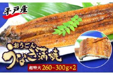 【季節限定】【土用の丑の日に！】【日本初！海水で養殖】長崎県産超特大おうごんうなぎ蒲焼き【260～300g×2尾、タレ2袋】平戸市/（有）松永水産 [KAB203]