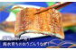 【季節限定】【土用の丑の日に！】長崎県産超特大おうごんうなぎ蒲焼き【260～300g×2尾、タレ2袋】平戸市/（有）松永水産 