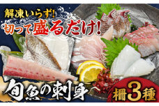 【漁協直送！】 獲れたて 旬魚 の柵 3種 セット（ 刺身 2種＆ イカ 1種）（4～5人前）【平戸市/舘浦漁業協同組合】 [KAA333]刺身 セット 通販 お取り寄せ 新鮮 海鮮盛り合わせ ギフト 贈り物 海鮮丼 手巻き寿司 詰め合わせ 人気 おすすめ